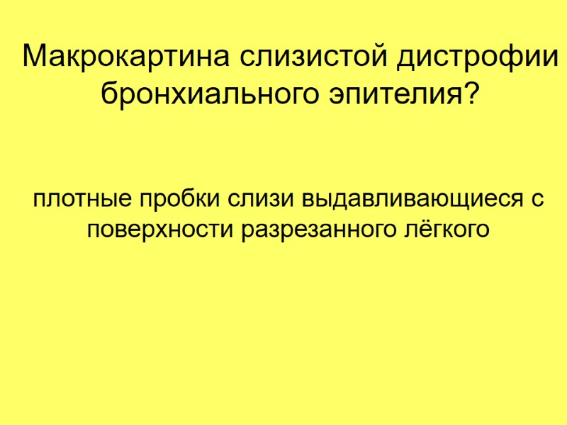 Макрокартина слизистой дистрофии бронхиального эпителия? плотные пробки слизи выдавливающиеся с поверхности разрезанного лёгкого